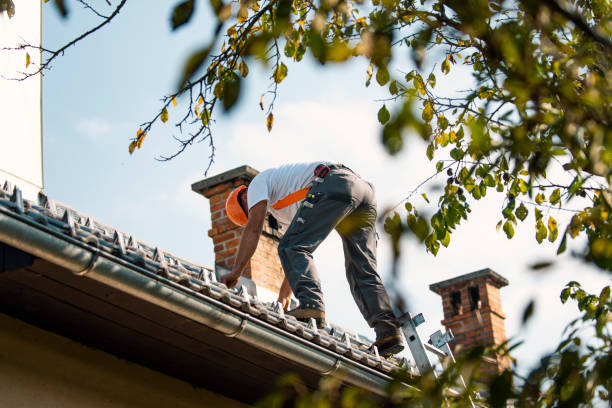 Quick and Trustworthy Emergency Roof Repair Services in Pilot Mountain, NC